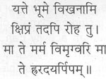 यत्त भूमे विखनामि क्षिप्रं तदपि रोह तु। मा ते मर्म विमृग ते ह्ररदयर्पिप