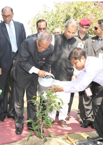 The President of India, Shri Pranab Mukherjee planting a sapling in National Martyr's at Memorial Savar in Dhaka, Bangladesh on March 3, 2013.