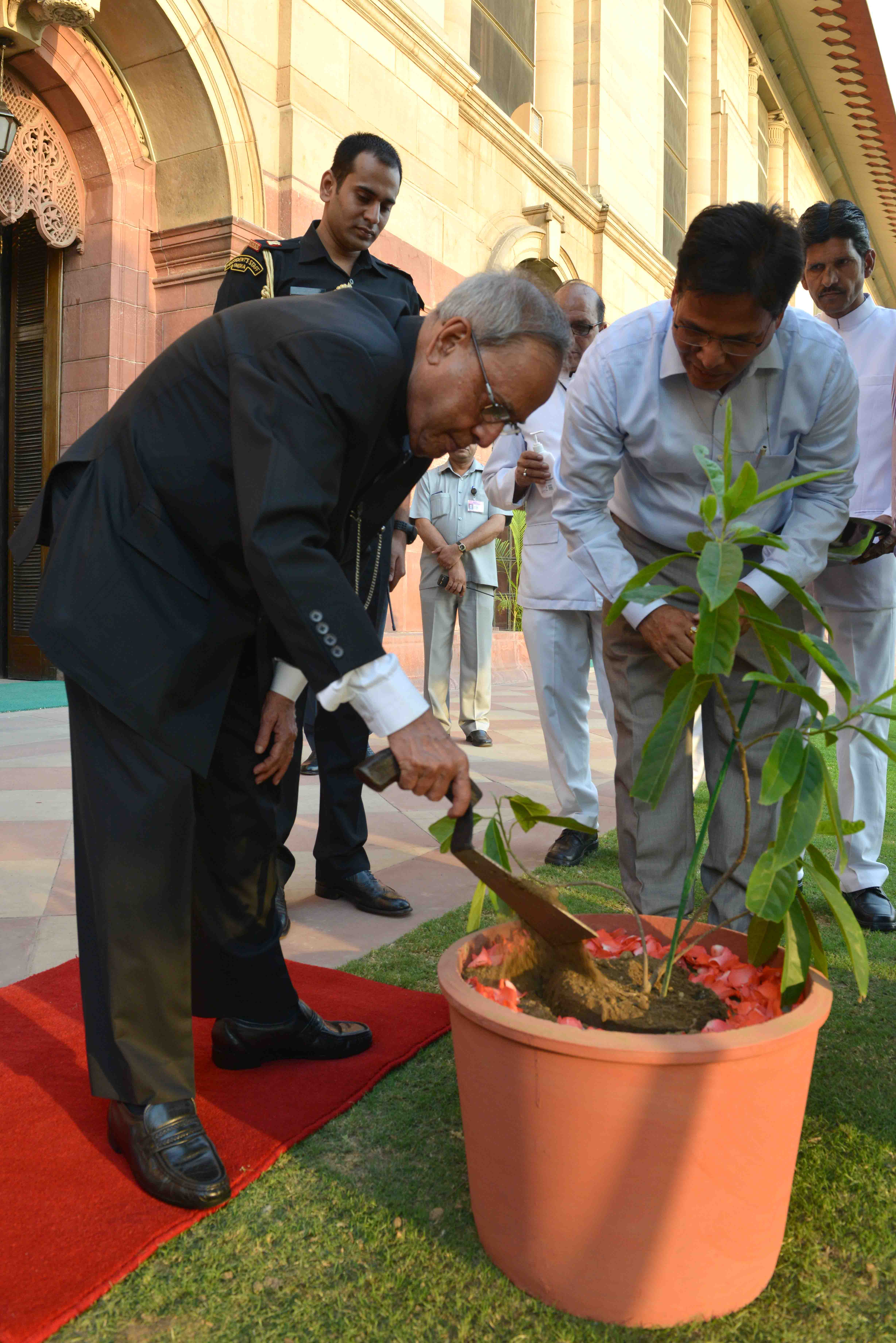 The President of India, Shri Pranab Mukherjee, planting a sapling on the occasion of World Environment Day at Mughal Garden in Rashtrapati Bhavan on June 05, 2015.