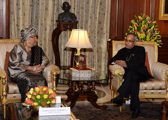 The President of the Republic of Liberia, H.E. Mrs. Ellen johnson Sirleaf meeting with the President of India, Shri Pranab Mukherjee at Rashtrapati Bhavan in New Delhi on September 11, 2013.